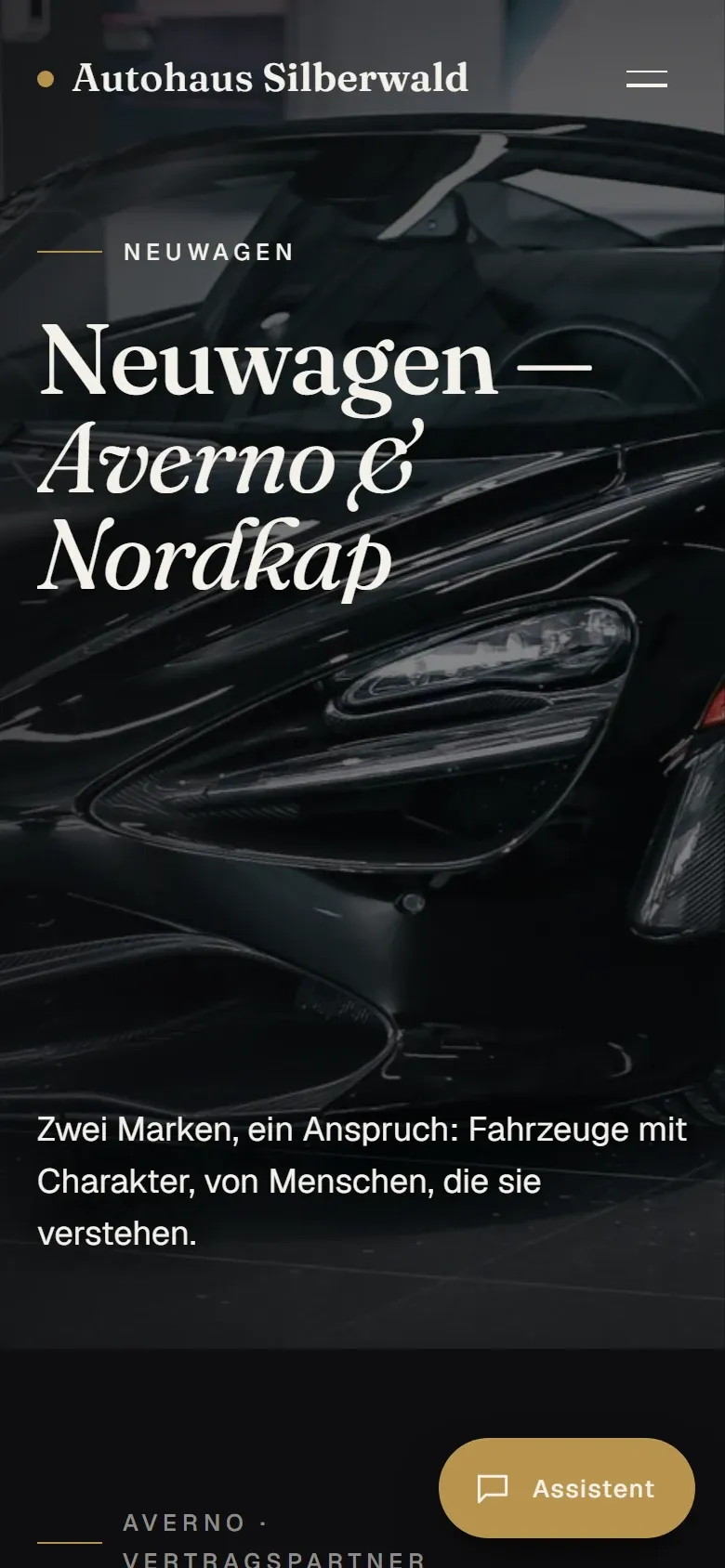 Autohaus Silberwald (Neuwagen) — Demo-Vorschau — fiktive Inhalte